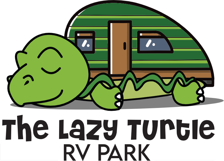 Lazy Turtle logo